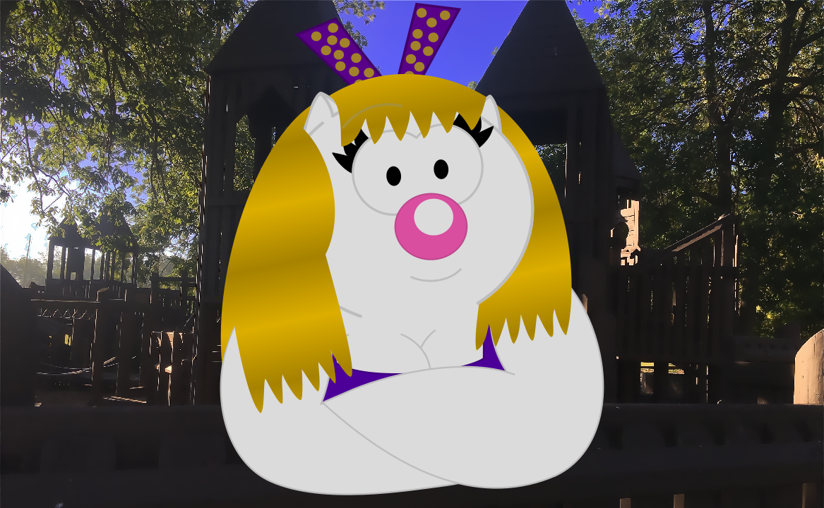 Psychic Shirley at a wooden playground in Hamlin. NY